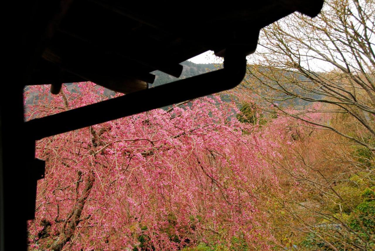 Hakone Kowakien Mikawaya Ryokan Dış mekan fotoğraf